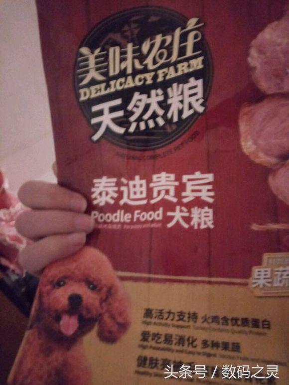 代换笔记本cpu,想给笔记本换cpu应该换哪个