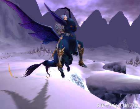 男子救下一只大雁,男子救了一只小白狼