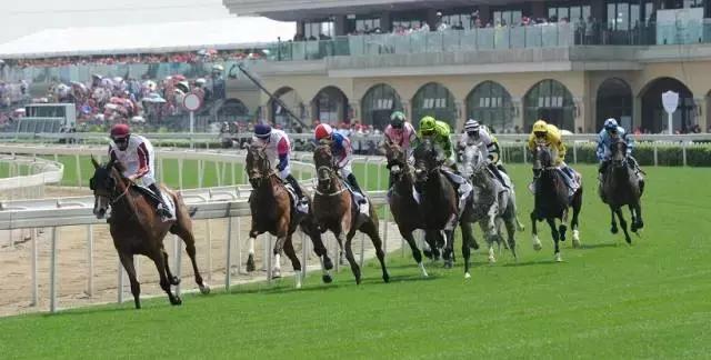 成都国际级体育赛事,2024成都有什么大型体育赛事