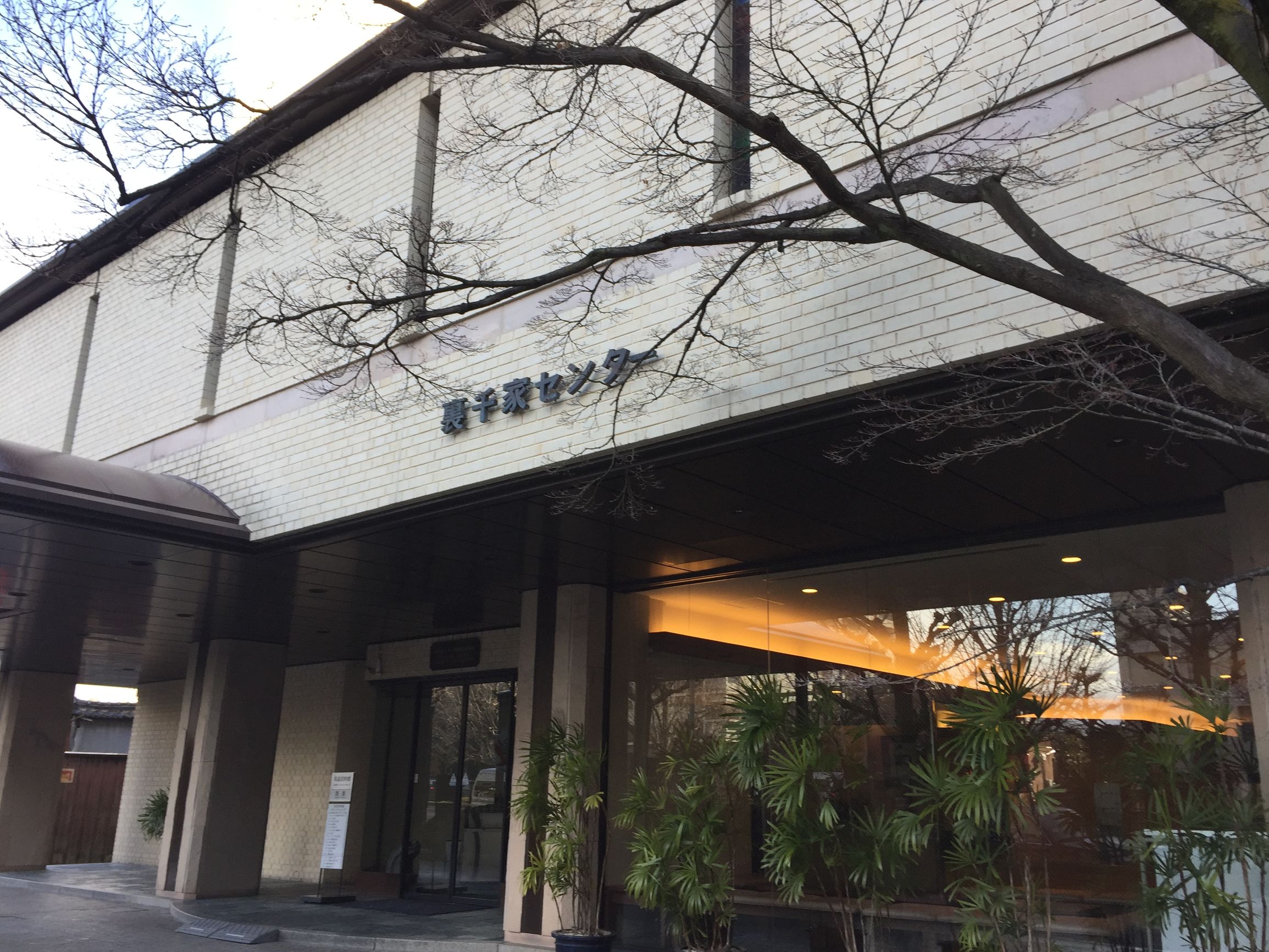 茶之道在于心静,茶是心静的良药