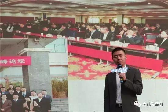 燕龙马业集团有限公司,燕龙马业