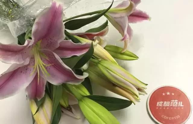 成都鲜花包月99每月4次,花费上万测评1个月