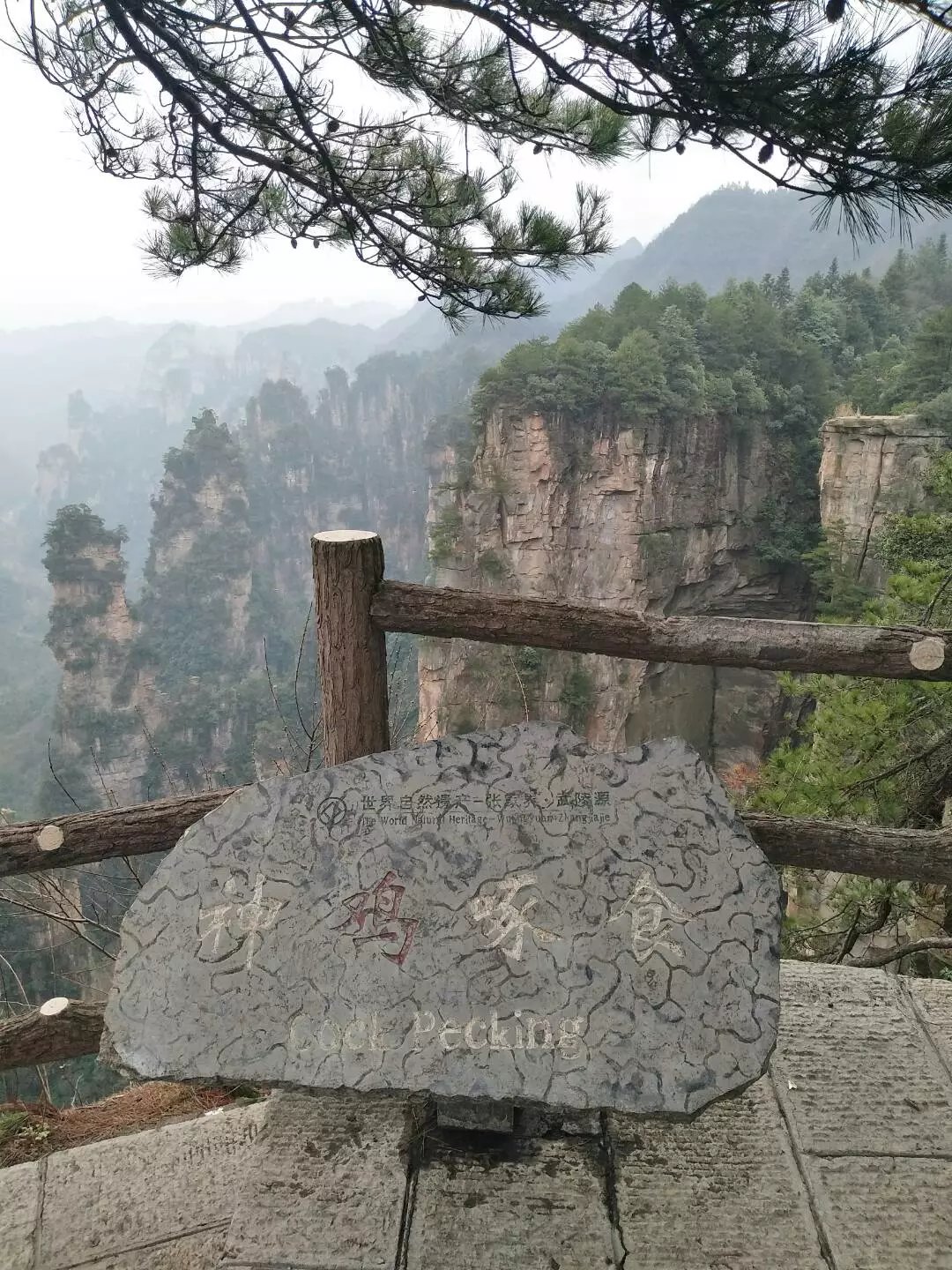 老人湖南旅游攻略,湘西旅游攻略中老年游玩