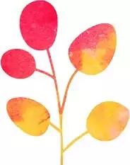 贵州最美“旅拍”地，堪比三亚和丽江！