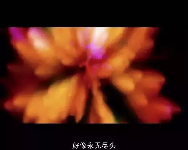 李献计电影精彩片段,评价李献计历险记