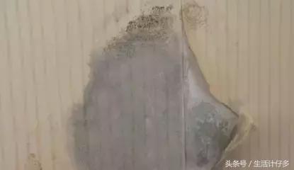 回南天的霉菌用什么擦洗,回南天霉菌怎么消