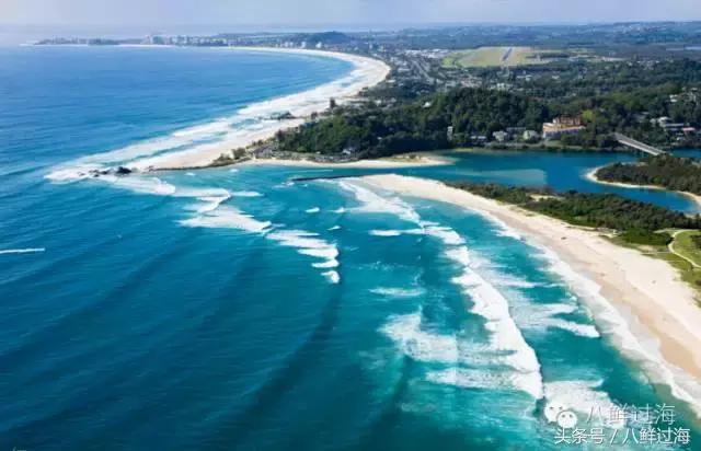 去澳大利亚你能吃到什么特色海鲜？值得收藏的吃货指南