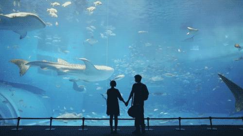 有趣的评价,有趣评价