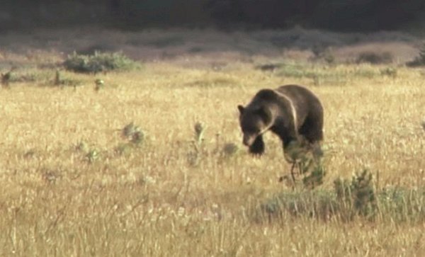 随手一拍都是美景美国大农村,英国随手一拍都是风景