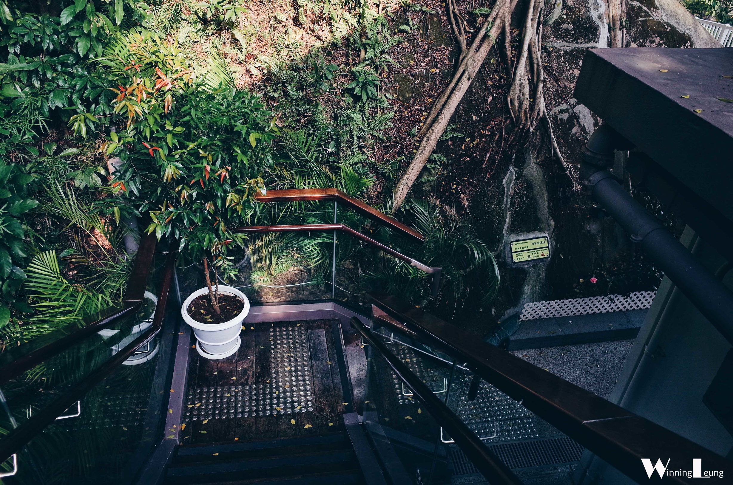 香港深扒:来大澳,记得到旧警署叹上一朝半日