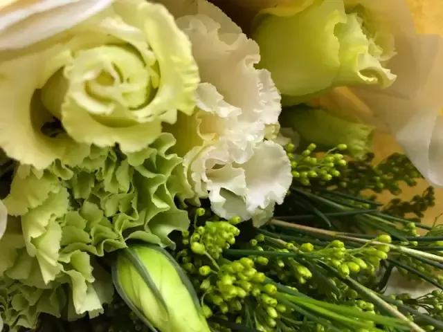 我们用1000元的教训告诉你:包月鲜花全是坑!一家都不推荐!