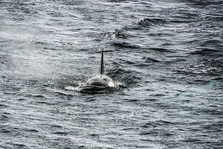 嗨哩文旅丨在世界的尽头的九个日日夜夜