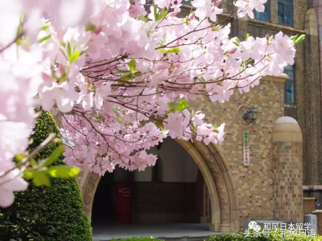 颜值与实力兼备高校,北大为何这么强大