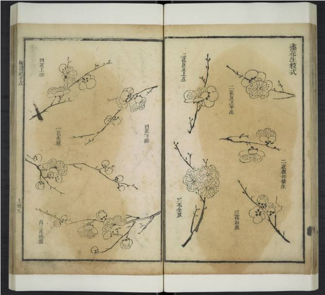 齐白石与芥子园画谱之缘,齐白石画作大全集