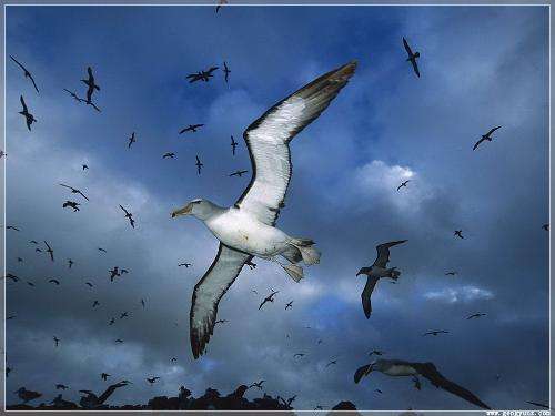 小牛喂鲸鱼奶,一天增重近两百斤!这些冷姿势,简直亮瞎眼