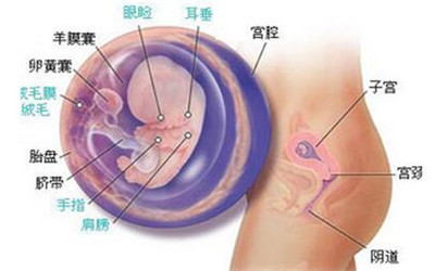 孕期出血真的是要流产了？孕期出血怎么一回事，孩子还能保住吗？