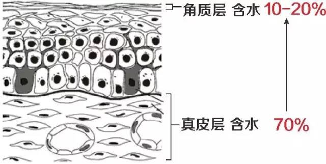 原来这么多年的面膜竟然白敷了,为什么你的面膜都白敷了