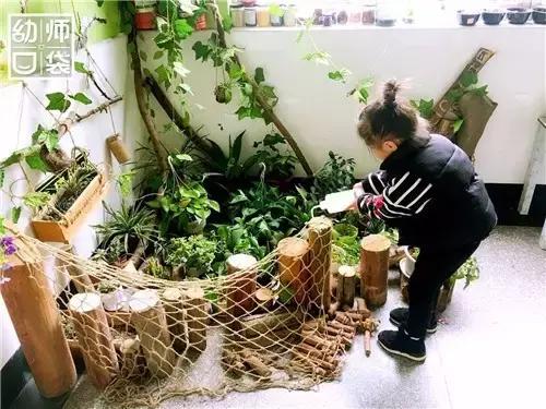 自然生态特色幼儿园,国际幼儿园自然角