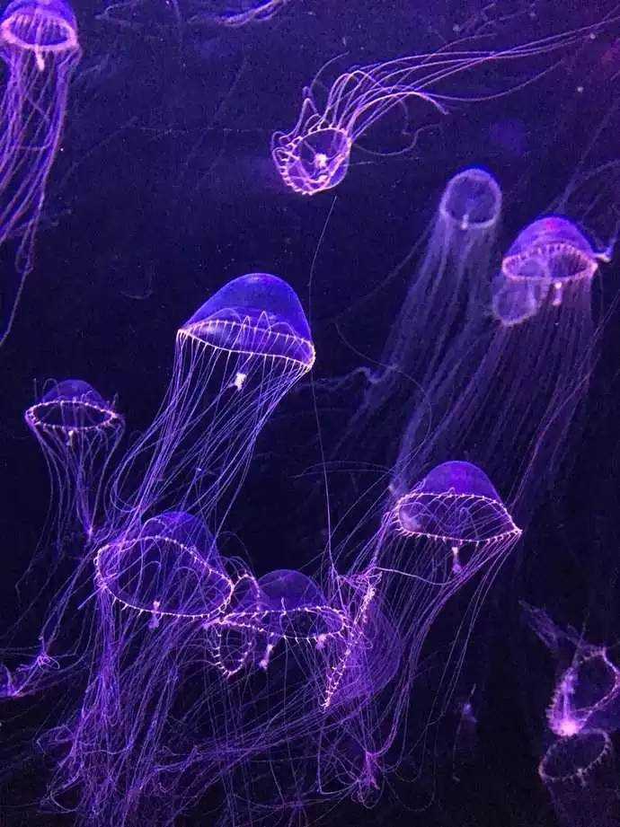 再遇青岛，距上次与你相见已过去了十年