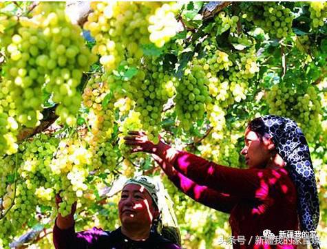 全国各省：我出上联！*疆新**丫头：我对下联！太有才了！