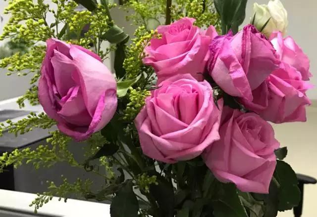 成都鲜花包月99每月4次,花费上万测评1个月