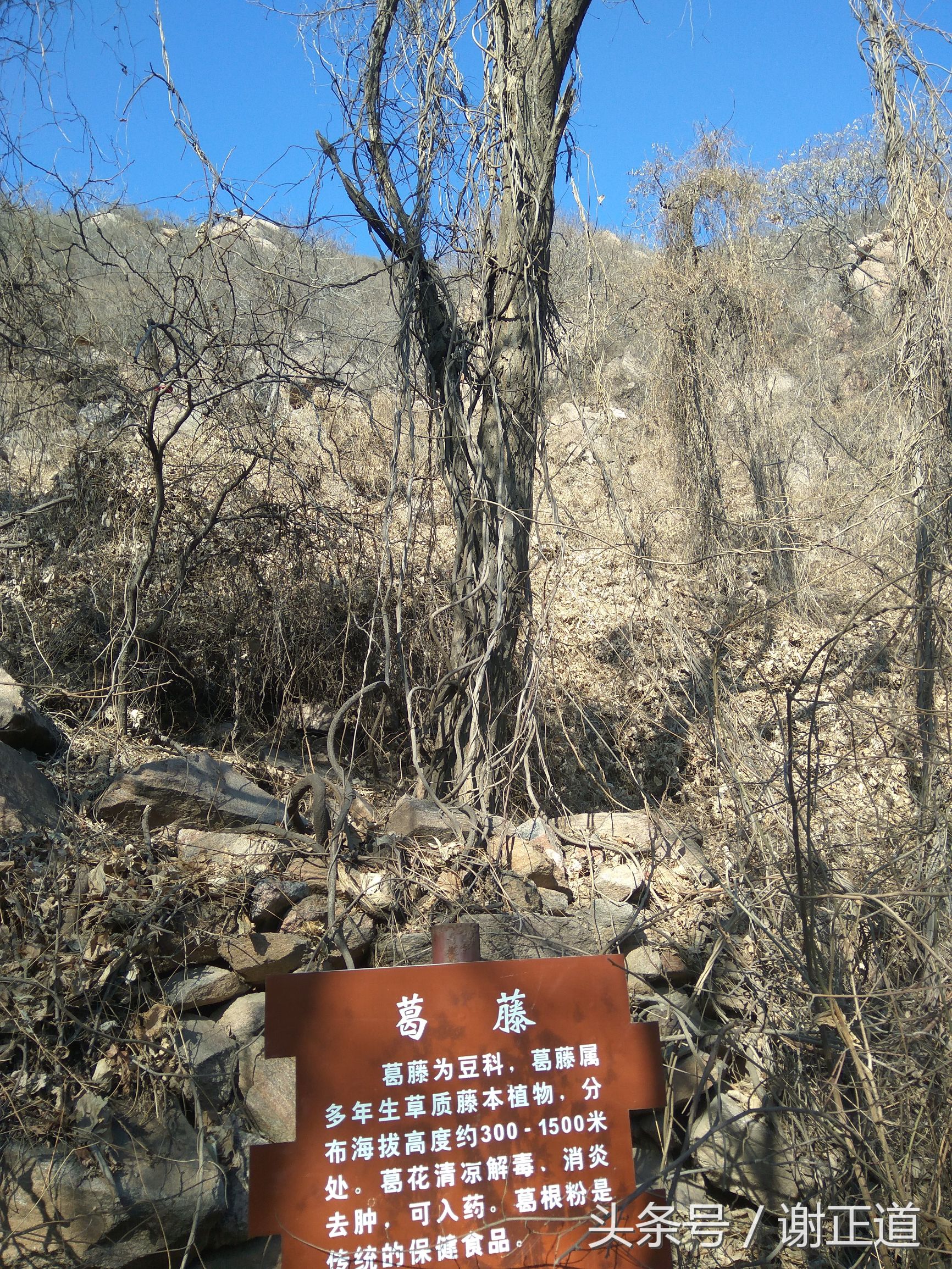 灵寿秋山风景区攻略,灵寿秋山自然风景区电话