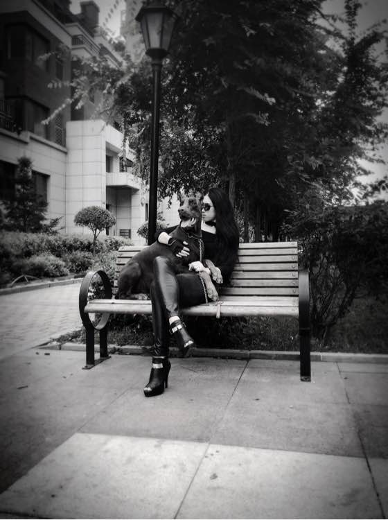 沈阳美女手签德系杜宾，称全家都是杜宾犬铁粉