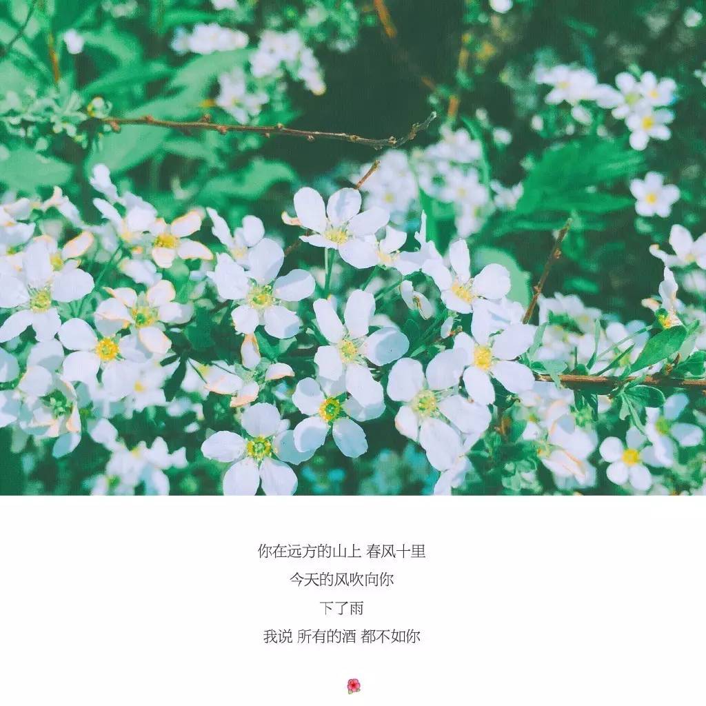 让图片超清晰的软件,一拍照就好看的美图软件