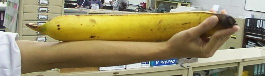 魔力鸟穆里尼奥超燃,魔力鸟穆里尼奥老特拉福德狂奔