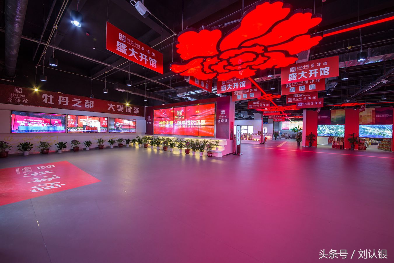 菏泽高峰论坛,菏泽天华电商产业园拍摄