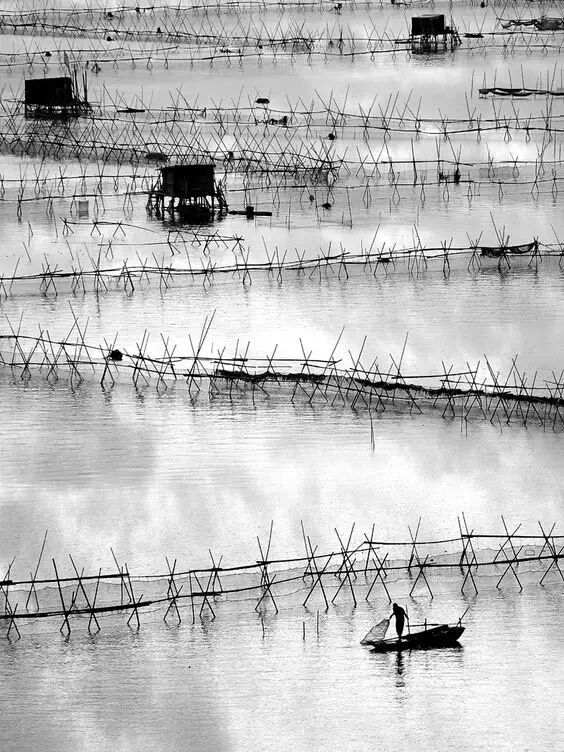 轻松读好经典古诗,常见读起来朗朗上口的古诗词