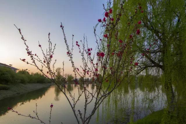 铜陵市顺安镇在铜陵怎么样,铜陵顺安镇