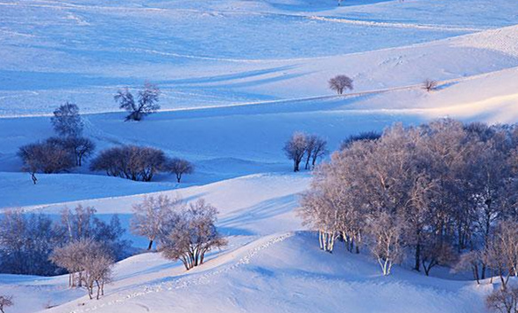 19岁女大学生失眠30晚藏入地窖自杀，被发现后接受电疗获新生