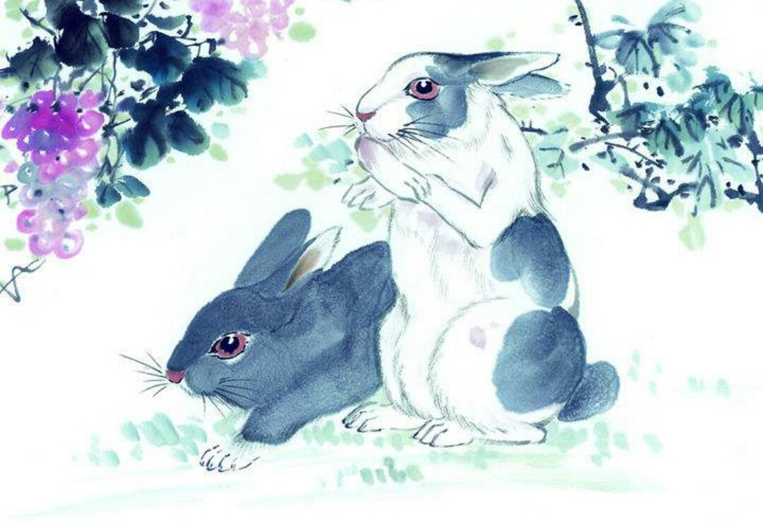 最全十二属相,十二属相都是什么属相