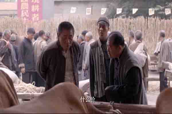 看牙口怎样辨别牛的年龄,怎样根据牛的牙齿判断年龄