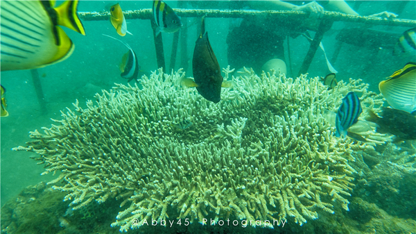 到巴厘岛的感受,到巴厘岛后怎么去蓝梦岛