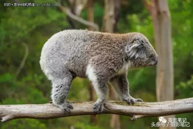 索尼a9拍摄剧照,我与索尼相机近20年的情缘