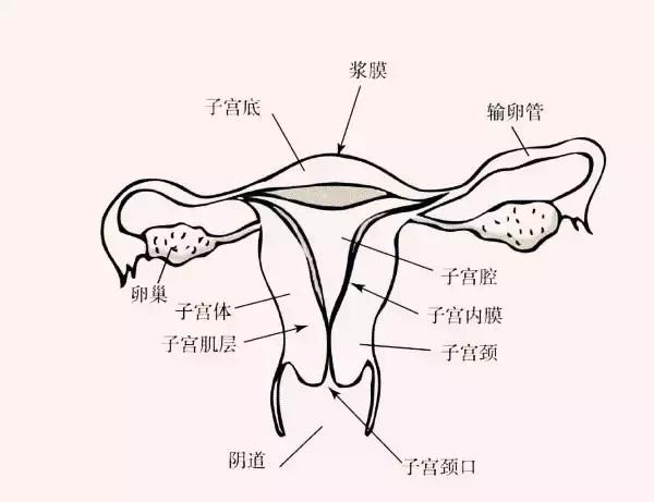 有没有人来姨妈有血块,谁来救我