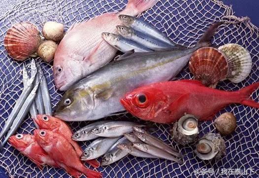 淡水水产店经营模式和营销方法,中国超市水产现状