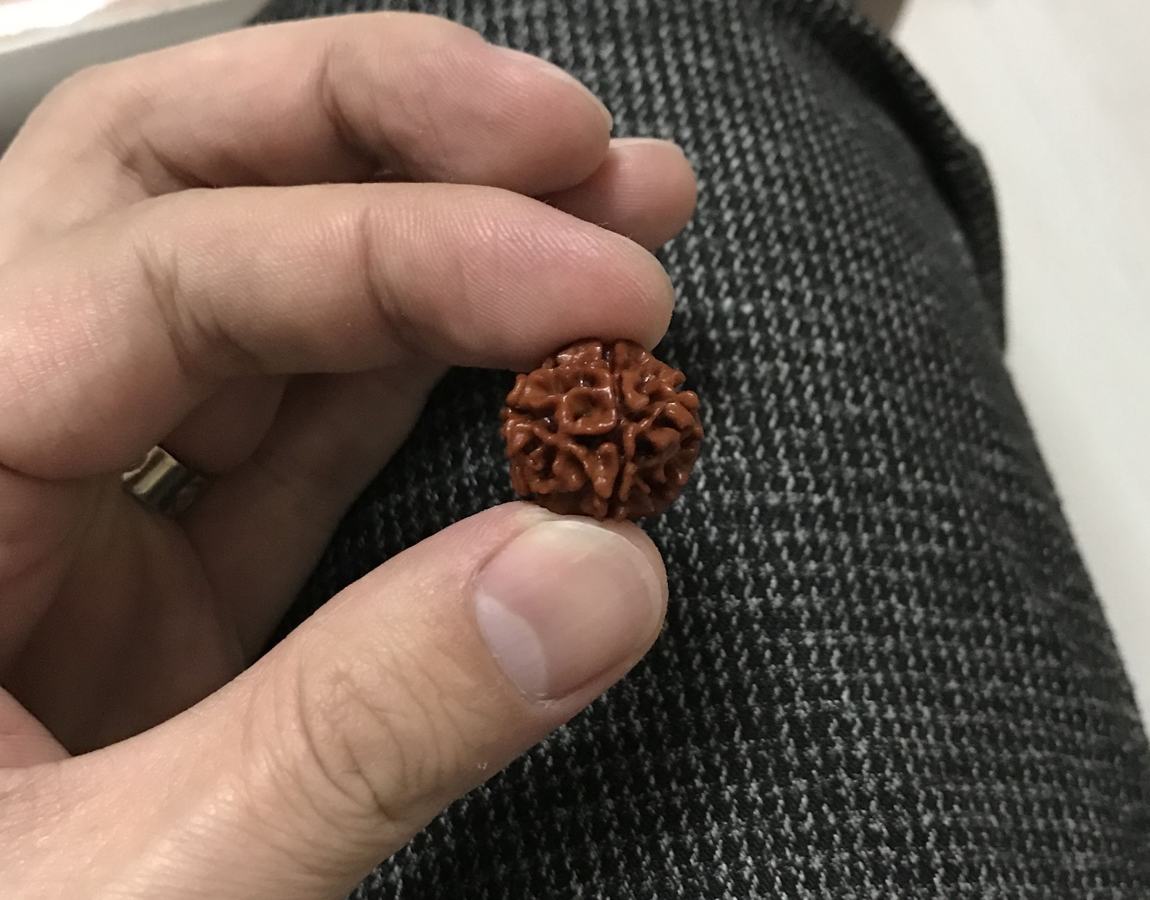 顽主解说,顽主文玩视频