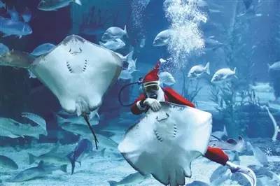 杭州极地海洋游玩图,杭州极地海洋世界旅游攻略