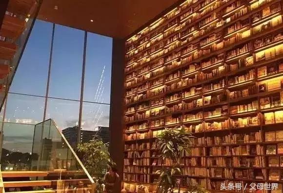 一个从来没用过童车的爸爸抱着孩子去日本水族馆吓人了!