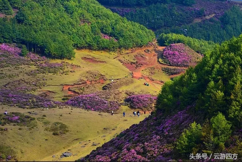 昆明禄劝风景,昆明禄劝的风景