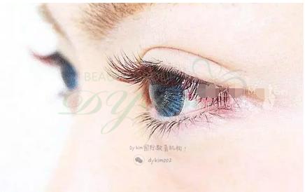美睫下睫毛嫁接的正确方法,美睫睫毛嫁接万能公式