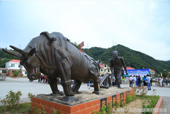 发现秦岭之美,发现陕西之美作文