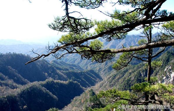 发现秦岭之美,发现陕西之美作文