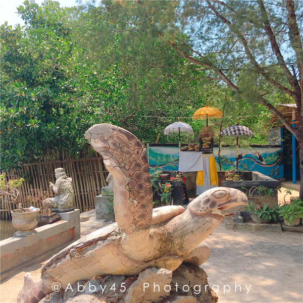 到巴厘岛的感受,到巴厘岛后怎么去蓝梦岛