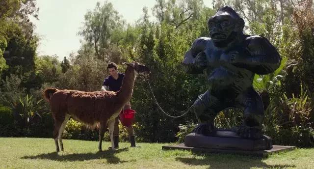 绝命毒师怒怼付兰兰，美国山寨居然这么良心