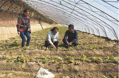 走基层贵在走心,走在乡村振兴的大路上