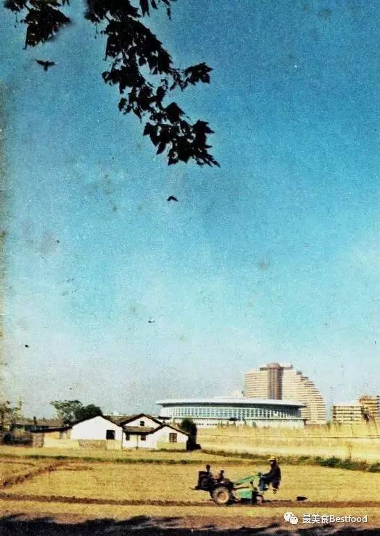 上海徐家汇自助餐热门榜第一名,上海自助餐推荐徐汇区